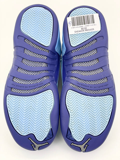 Air Jordan 12 Retro GG 'Hornets (2016)' | US GS 6Y