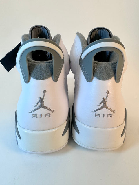 Air Jordan 6 Retro 'Cool Grey (2023)' | US M 10.5
