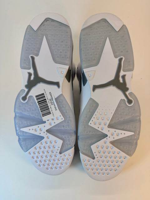 Air Jordan 6 Retro 'Cool Grey (2023)' | US M 10.5