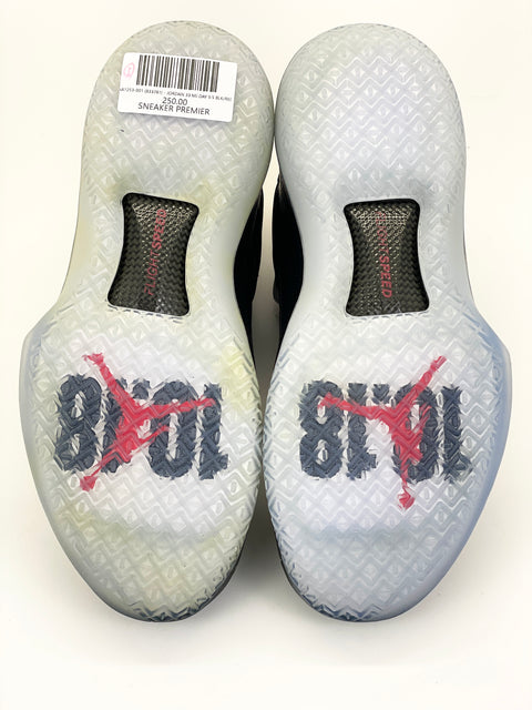 Air Jordan 33 'MJ Day (2017)' | US M 9.5
