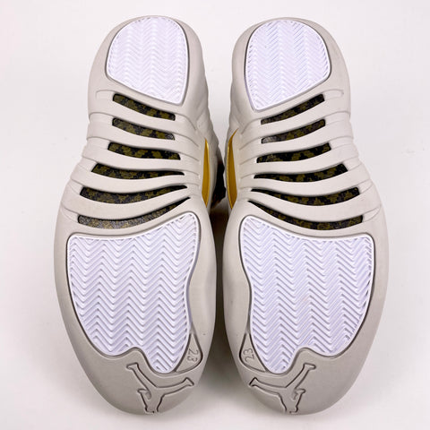 Air Jordan 12 Retro 'Phantom (2024)' | US W 11 / US M 9.5