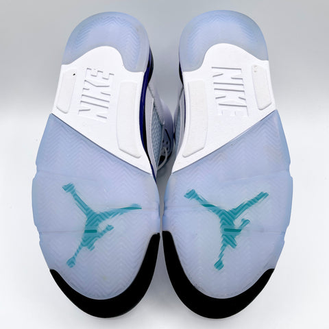 Air Jordan 5 Retro 'Grape (2025)' | US M 9.5