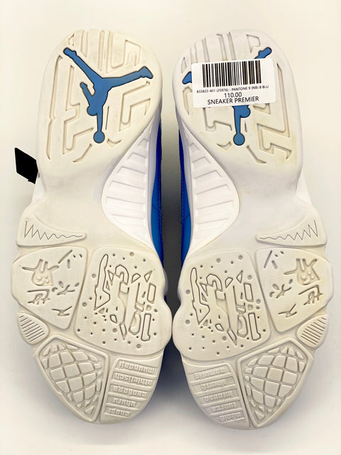 Air Jordan 9 Retro Low 'Pantone (2016)' | US M 8 (No Box)