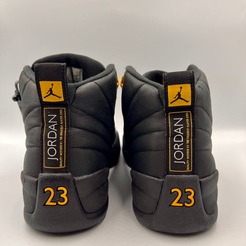Air Jordan 12 Retro 'Black Taxi (2022)' | US M 9