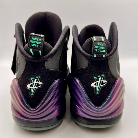 Nike Penny V 'Invisibility Cloak (2013)' | US M 5 (No Box)