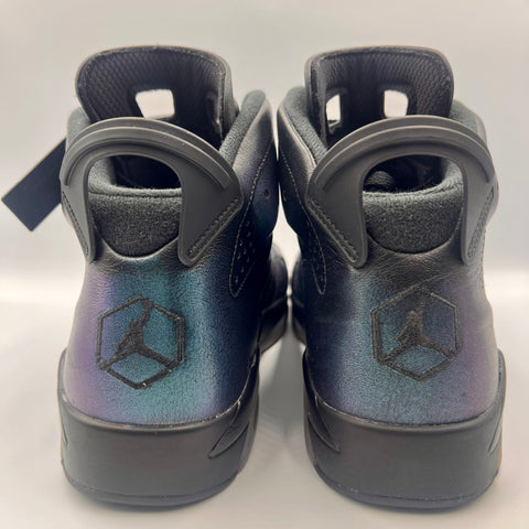 Air Jordan 6 Retro 'Chameleon (2017)' | US M 10