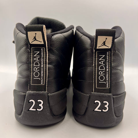 Air Jordan 12 Retro 'The Master (2016)' | US M 9.5
