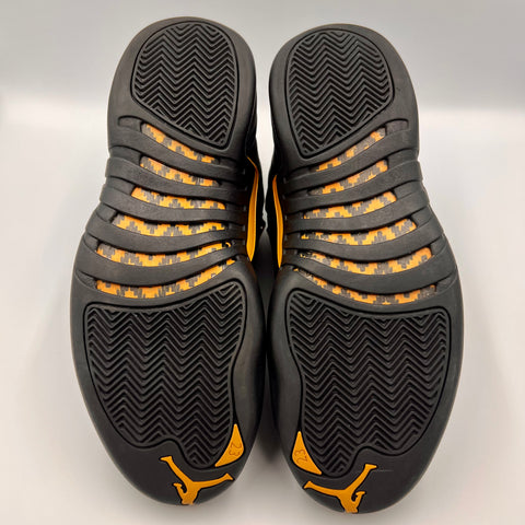 Air Jordan 12 Retro 'Black Taxi (2022)' | US M 9