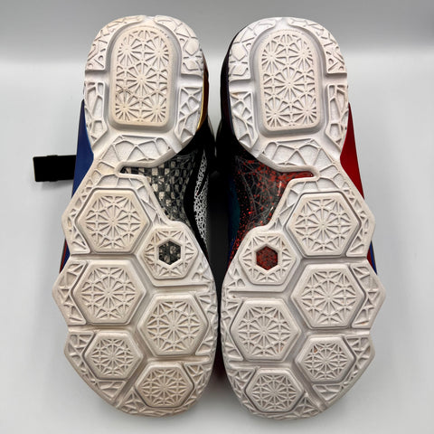 Nike Lebron 12 'What the LeBron (2015)' | US M 10