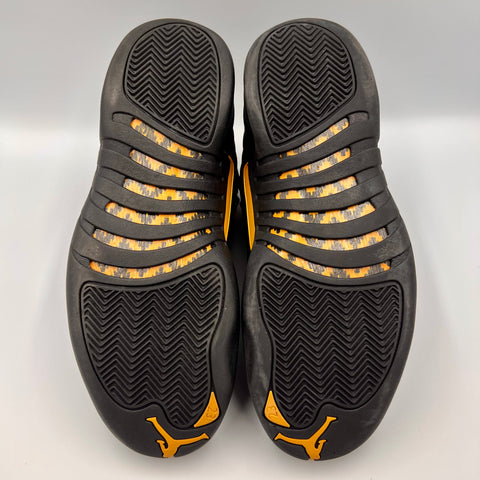 Air Jordan 12 Retro 'Black Taxi (2022)' | US M 9