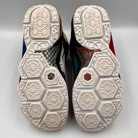 Nike Lebron 12 'What the Lebron (2015)' | US M 10