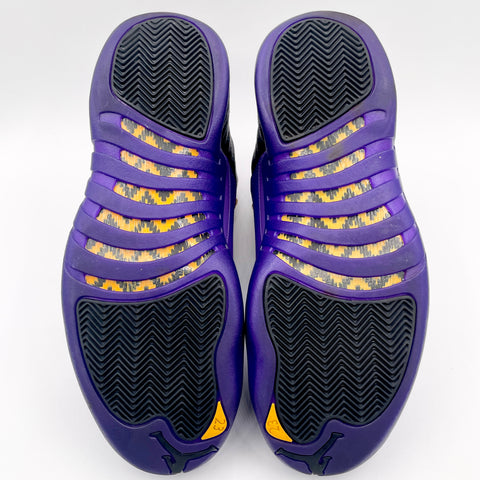 Air Jordan 12 Retro 'Field Purple (2023)' | US M 10.5 (No Box)