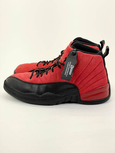Air Jordan 12 Retro 'Reverse Flu Game (2020)' | US M 9.5