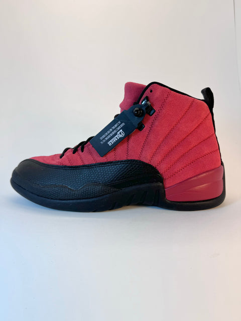 Air Jordan 12 Retro 'Reverse Flu Game (2020)' | US M 9.5