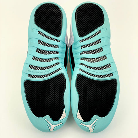 Air Jordan 12 Retro 'Light Aqua (2018)' | US M 9.5