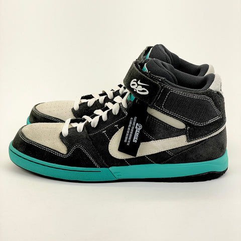 Nike Dunk '6.0' | US M 10 (No Box)