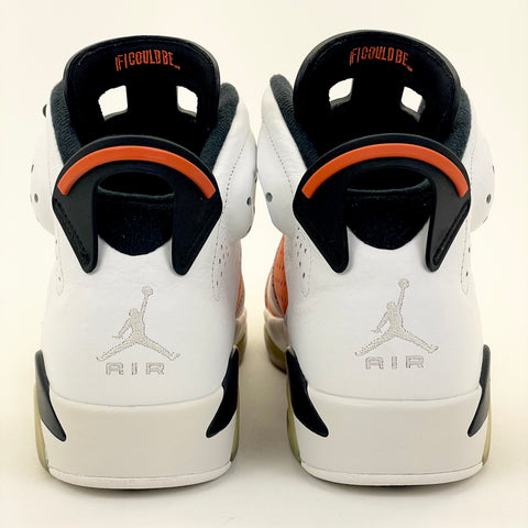 Air Jordan 6 Retro 'Gatorade (2017)' | US M 9