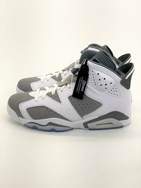 Air Jordan 6 Retro 'Cool Grey (2023)' | US M 10