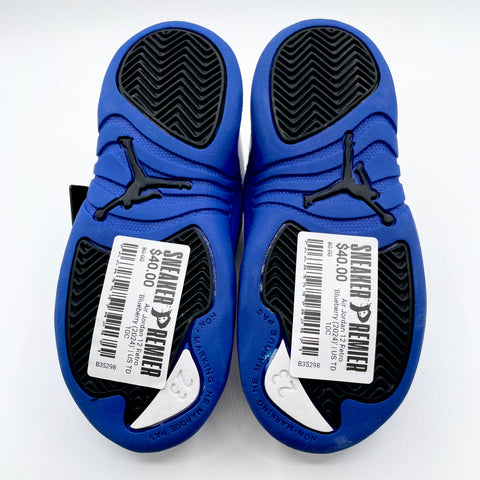 Air Jordan 12 Retro 'Blueberry (2024)' | US TD 10C