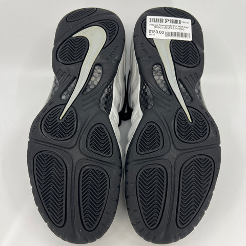 Nike Air Foamposite Pro 'Wolf Grey (2024)' | US M 9.5 (No Box)