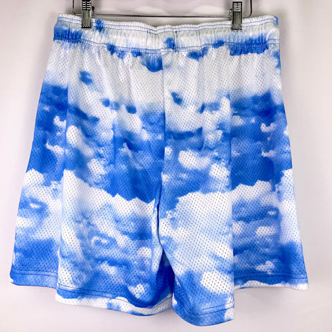 Eric Emanuel EE Basic Shorts 'Sky (2020)' | LG