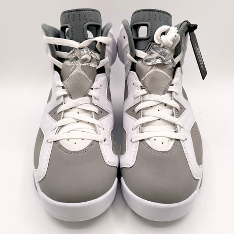 Air Jordan 6 Retro 'Cool Grey (2020)' | US M 10