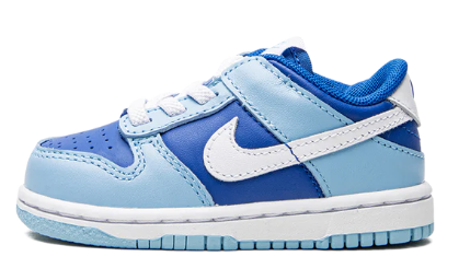 Nike Dunk Low 'Argon (2022)' | US TD 4C (No Box)