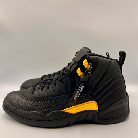 Air Jordan 12 Retro 'Black Taxi (2022)'  | US M 9