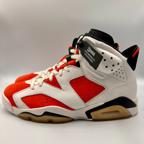 Air Jordan 6 Retro 'Gatorade Like Mike (2017)' | US M 10.5