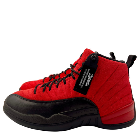 Air Jordan 12 Retro 'Reverse Flu Game  (2020)' | US M 9