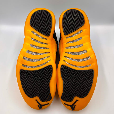 Air Jordan 12 Retro 'Black University Gold (2020)' | US M 10.5 (No Box)