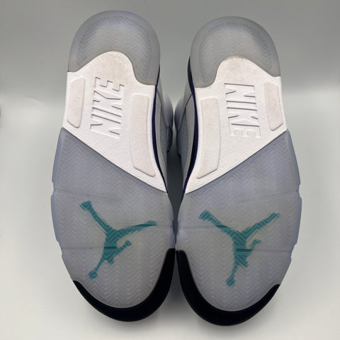Air Jordan 5 Retro 'Grape (2025)' | US M 10