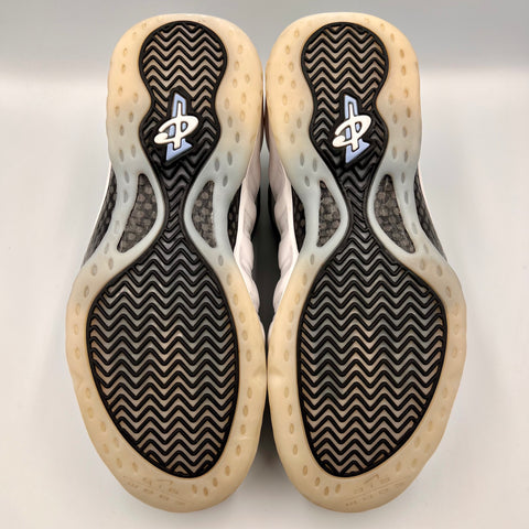 Nike Air Foamposite One 'Penny PE (2023)' | US M 9.5