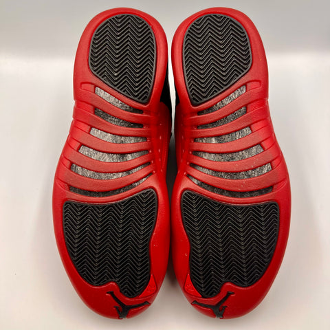 Air Jordan 12 Retro 'Flu Game (2025)' | US M 10