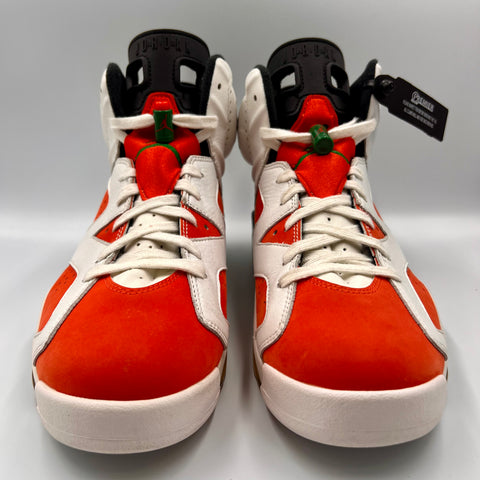Air Jordan 6 Retro 'Gatorade Like Mike (2017)' | US M 10.5