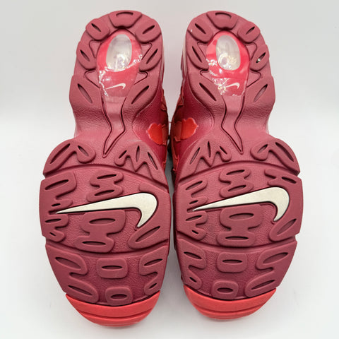 Nike Air DT Max 96 'Love Letter to Connie (2025)' | US M 11