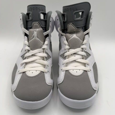 Air Jordan 6 Retro 'Cool Grey (2023)' | US M 7.5