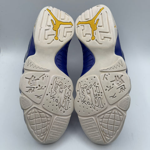 Air Jordan 9 Retro 'Kobe Bryant PE (2016)' | US M 10.5 (No Box)