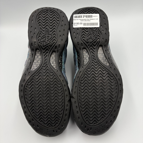 Nike Air Foamposite One 'Albalon (2018)' | US M 8.5 (No Box)