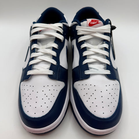 Nike Dunk Low 'Valerian Blue (2022)' | US M 11