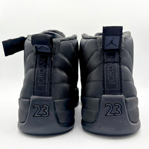 Air Jordan 12 Retro 'Winter Black (2017)' | US M 11.5 (No Box)