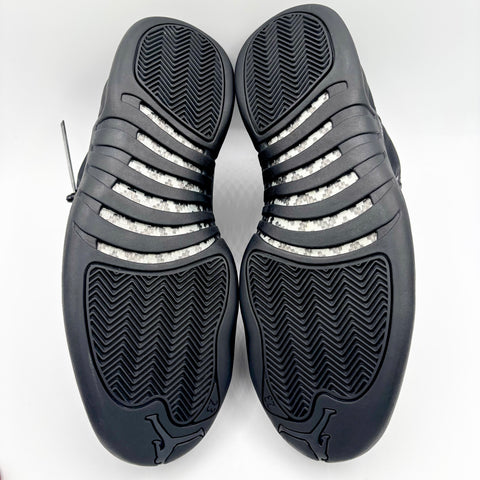 Air Jordan 12 Retro 'Winter Black (2017)' | US M 11.5 (No Box)