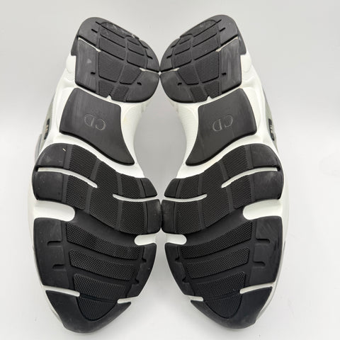Christian Dior B22 'Grey White' | EU M 45 / US M 12