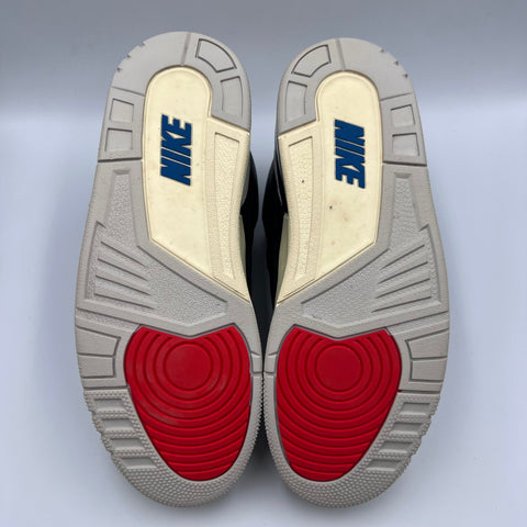 Air Jordan 3 Retro OG `Rare Air (2025)` | US M 9.5