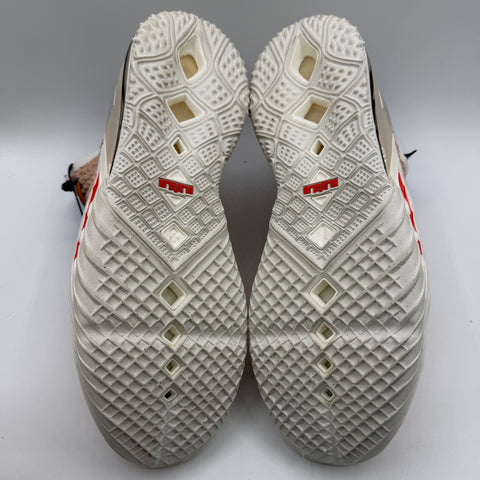Nike Lebron 18 'Multi Animal Print (2021)' | US M 10.5 (No Box)