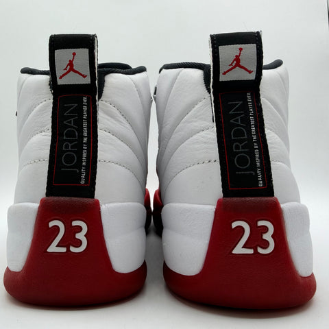Air Jordan 12 Retro 'Cherry (2023)' | US M 9 (No Box)