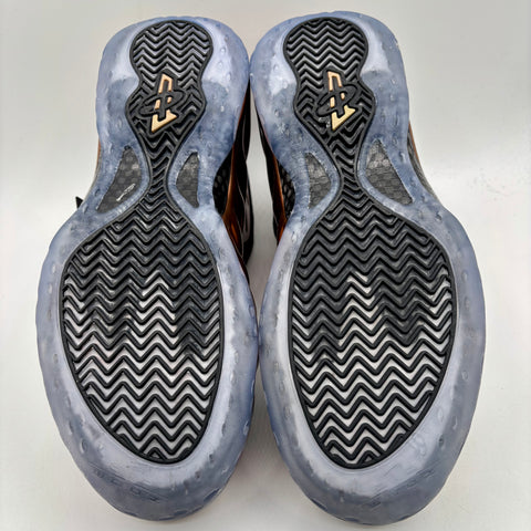 Nike Air Foamposite One 'Copper (2017)' | US M 10