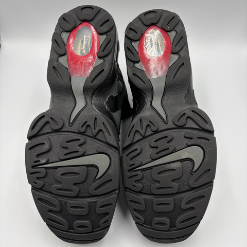 Nike Air Max 96 'Falcons (2024)' | US M 12