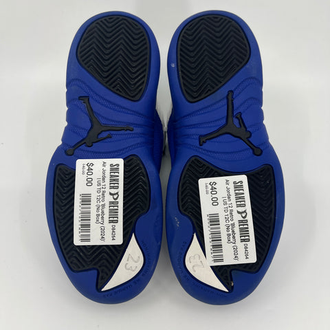 Air Jordan 12 Retro 'Blueberry (2024)' | US TD 12C (No Box)