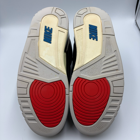 Air Jordan 3 Retro 'Rare Air (2025)' | US M 10